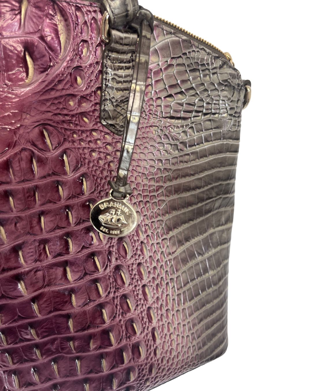 BRAHMIN Pink Ombre Large Duxbury Leather Purse