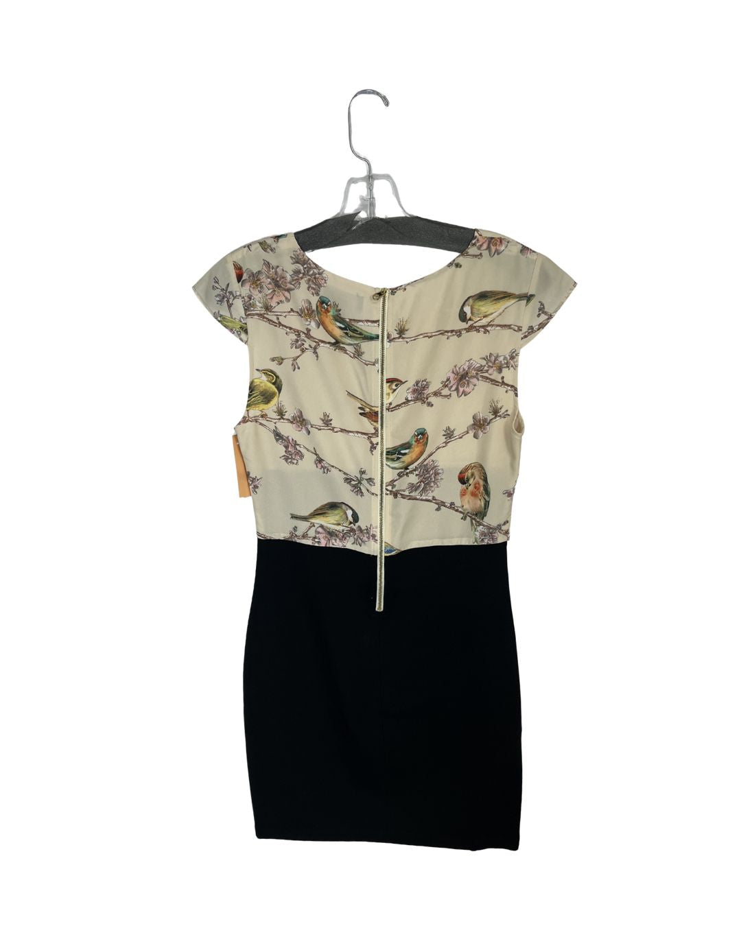 TED BAKER Brid Print Midi Dress (Size 2)